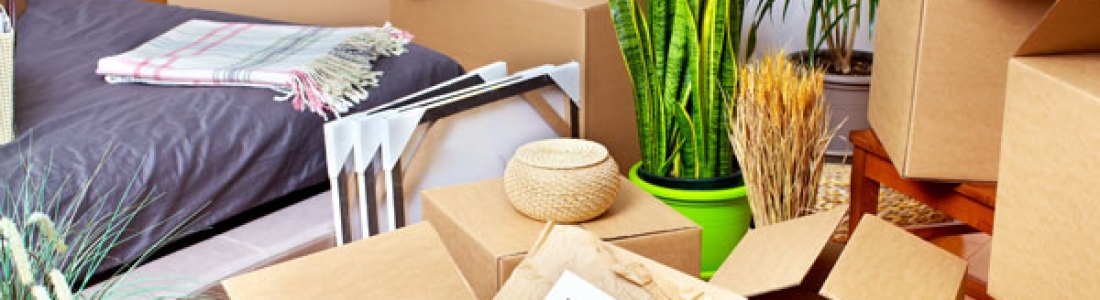 The Dos and Don’ts of Moving to a New Home