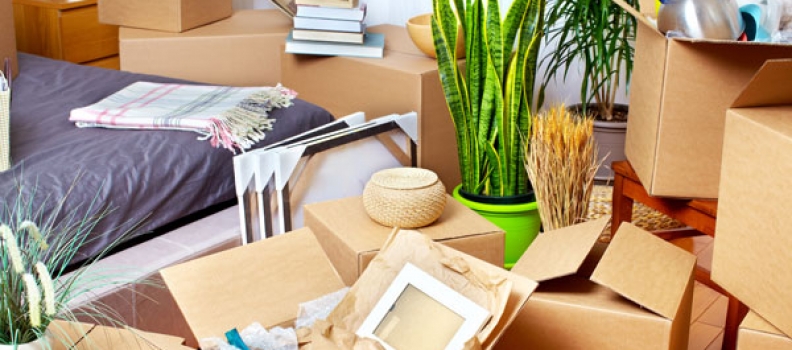 The Dos and Don’ts of Moving to a New Home